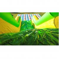 TOBOGGAN TWISTER - 2RGonflables