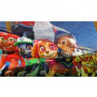 TOBOGGAN TWISTER - 2RGonflables