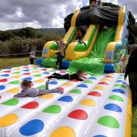 TOBOGGAN TWISTER - 2RGonflables