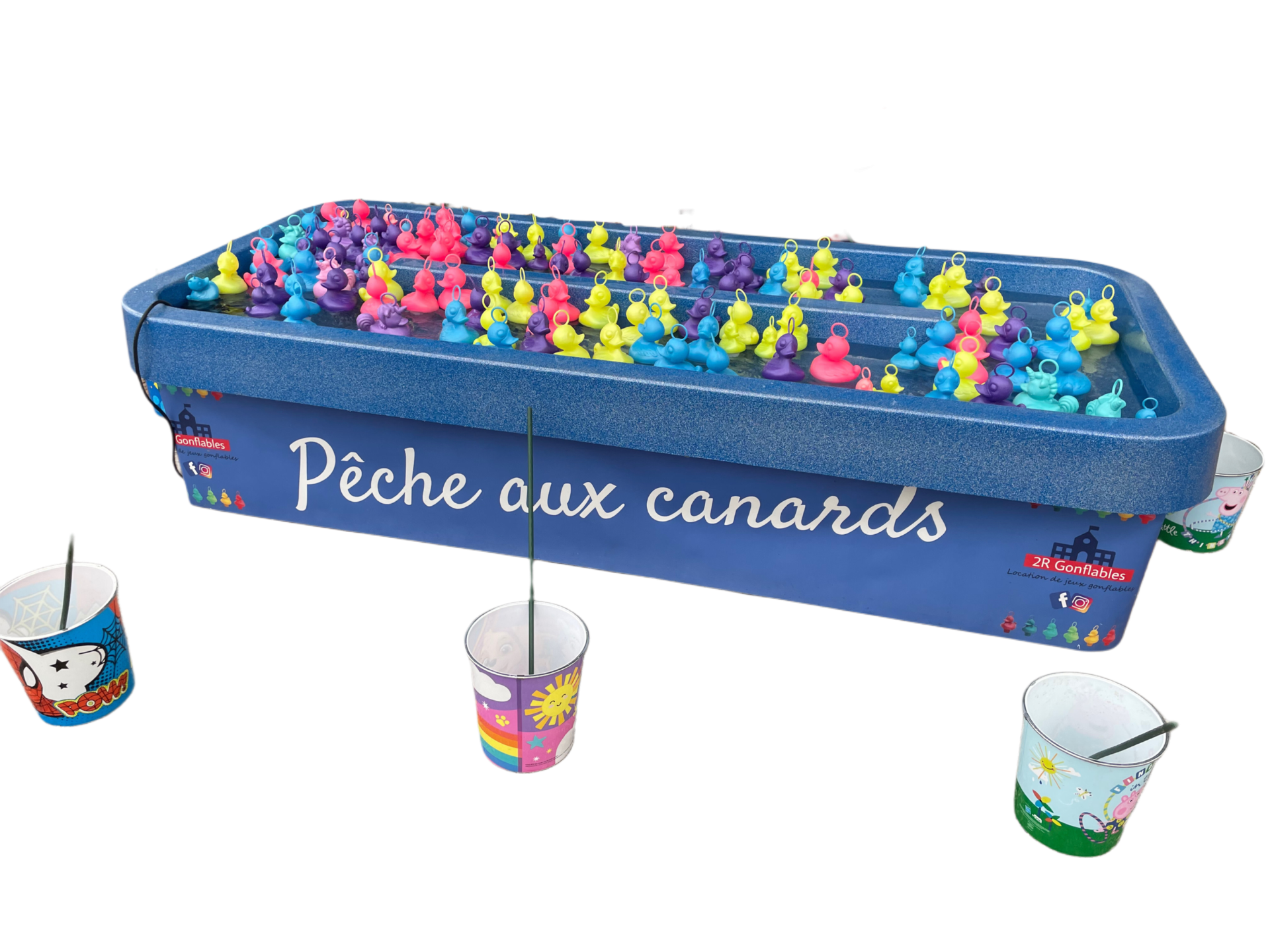 Peche aux canards