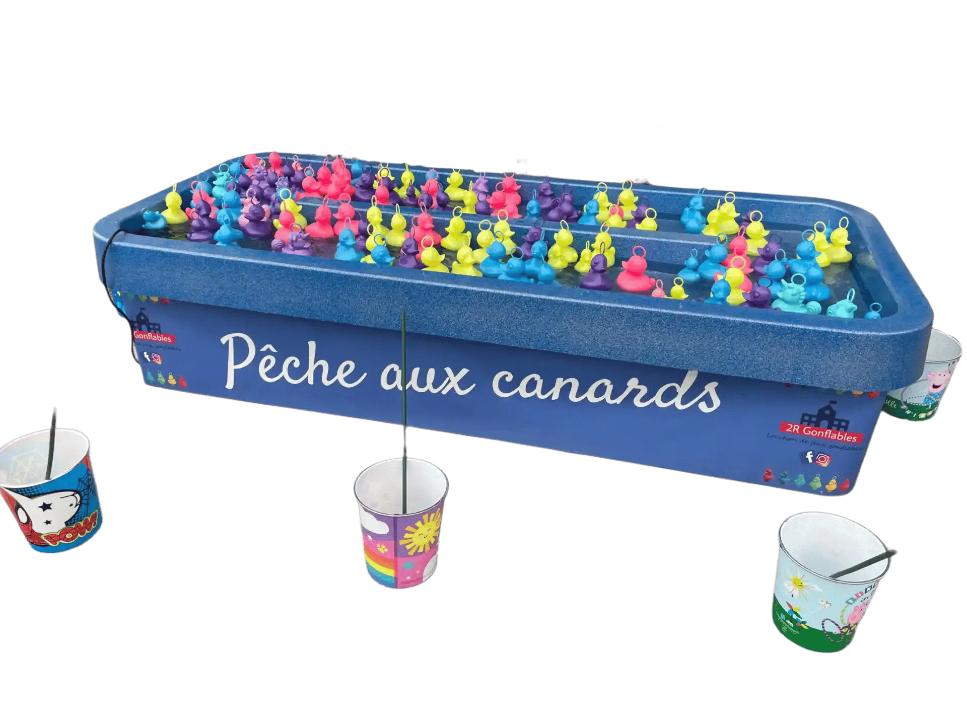 Peche aux canards